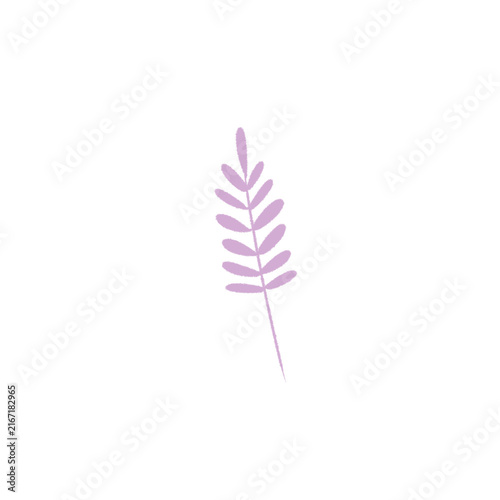 Plant 2