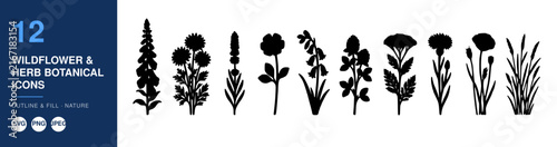 Wildflower and Herb Botanical Icons, Outline and Fill Style, Nature-Inspired Design