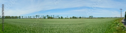 Foto Der Concordiasee bei Nachterstedt (Seeland)
