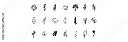 Leaf set with minimalist botanical icons featuring monstera, fern, maple, oak, and pine with line art and monochrome