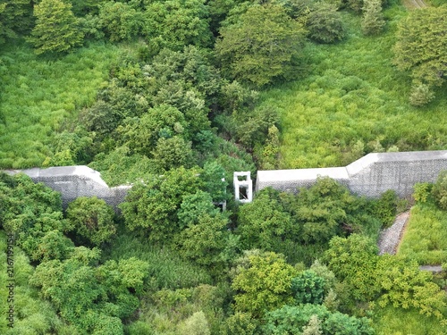 Canvas Print Ancient stone wall cuts through lush green forest