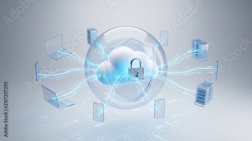 Cloud computing protected by a digital shield and secure encrypted network
