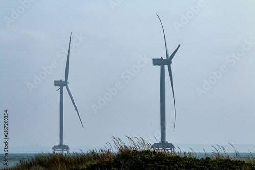 Canvastavla Standing along the coastline with the sea in the distance and a light blue sky a
