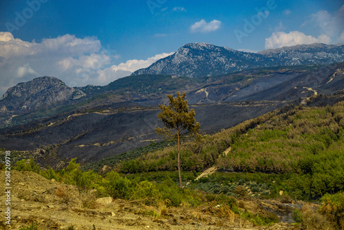 Obraz na plátně Aerial view of the Mugla mountains in Turkey after a devastating wildfire