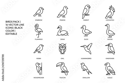 Birds species wildlife line icon set vector animal symbols