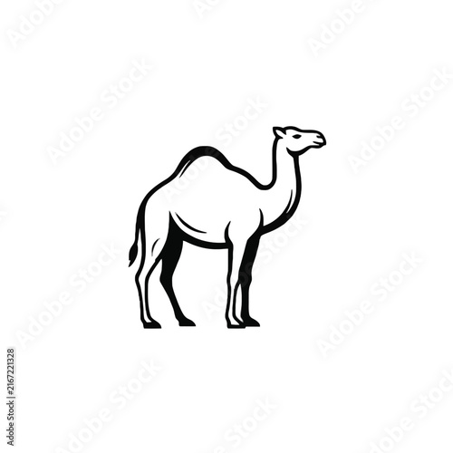 Obraz na plátne Simple black and white of a standing dromedary camel, depicted in a clean line s