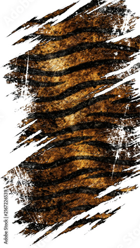 Isolated Transparent Png Of Tiger Stripes