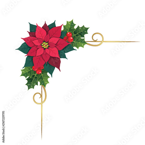 Christmas poinsettia flower, holly leaves and berries. festive corner frame decoration. seasonal plant drawing.
