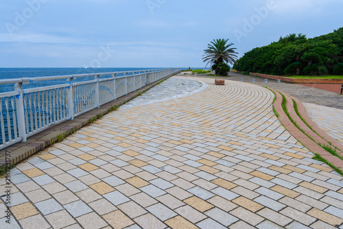散歩の途中で見つけた残暑の風景