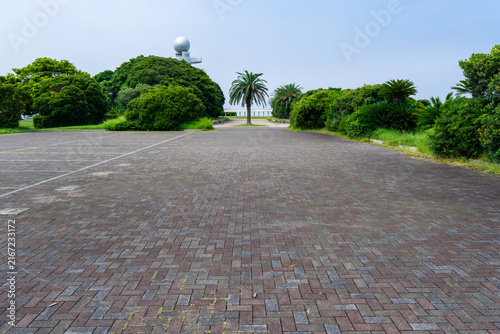 散歩の途中で見つけた残暑の風景