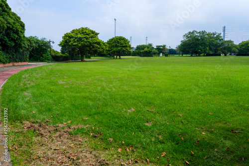 散歩の途中で見つけた残暑の風景
