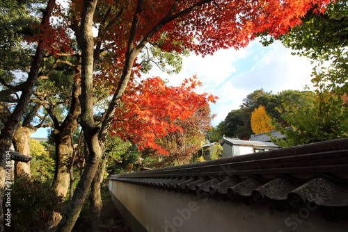 寺院の境内の紅葉