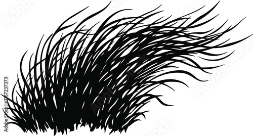 Vector Grass丛 Silhouettes, Wild Meadow Plants, Twiggy Weeds Graphic Illustration for Landscape Design, Nature Elements, Black Vegetation Set isolated on White Background