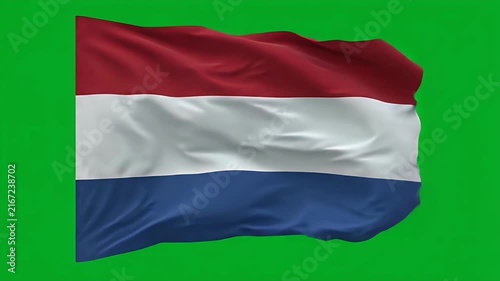 Dutch Netherlands waving flag in wind on bright green background for national pride and events