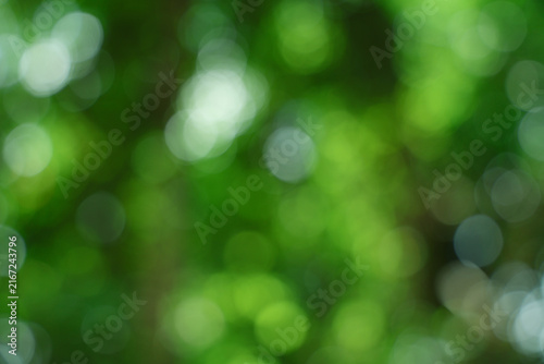 Photography Abstract green background with soft bokeh lights