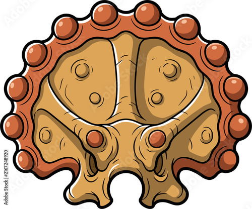 A detailed, stylized illustration depicting the internal structure of an organic entity, possibly a seed or a cell, with visible chambers and an outer boundary.