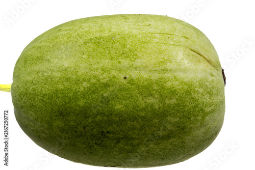 Bild auf Leinwand Single whole winter melon with mottled light green skin, isolated on a plain whi