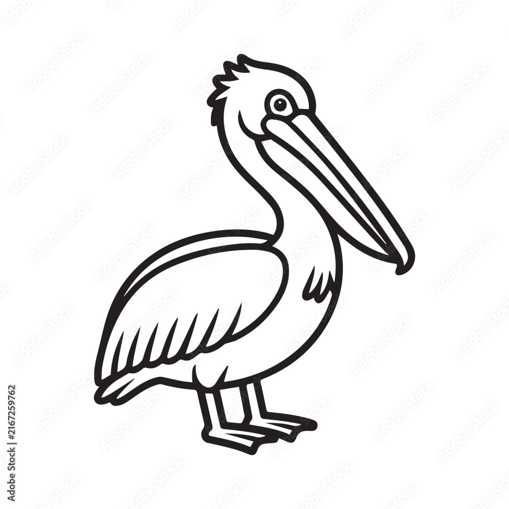 Fototapeta premium Cute pelican bird outline vector illustration for kids coloring book, outline black and white line art isolated on white background.