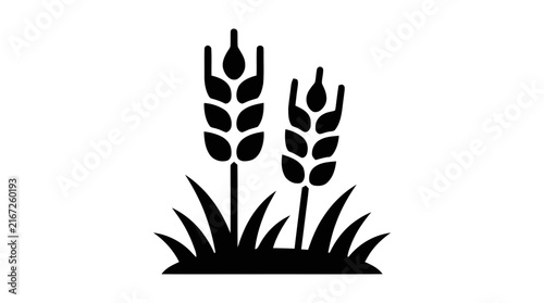 Vector illustration of wheat ear vector icon on a transparent background