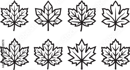Maple leaves in black and white vector style