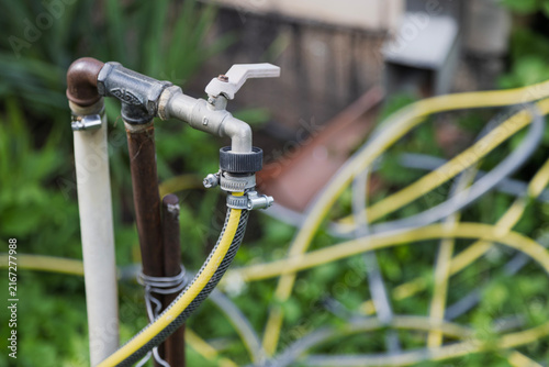 A garden hose is connected to an outdoor faucet.