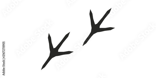 Fotografie Black bird footprint silhouettes isolated on transparent background for wildlife tracking design