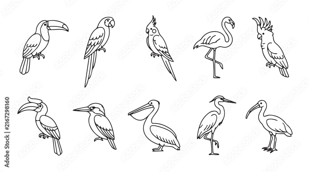 Naklejka premium Tropical bird line art icons, set of 10 exotic bird vector illustrations, minimalist outline parrot and flamingo drawings for coloring