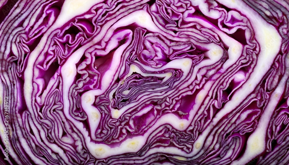 Obraz premium Red Cabbage Cross Section Texture Background