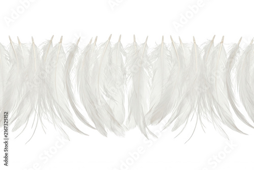 Una hilera horizontal de plumas blancas suaves y delicadas dispuestas sobre un fondo blanco puro, creando un borde elegante y minimalista con textura natural y etérea.