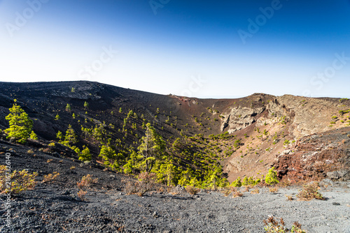 Volcanic crater cone with pine trees growing inside San Antonio Volcano, La Palma.
