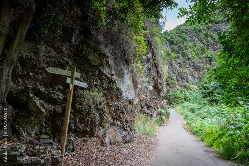 Directional wooden signpost on forest trail in Cubo de La Galga ravine