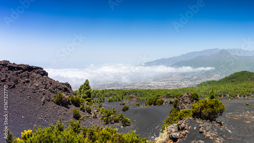 High altitude view of cloud sea and pine forests over volcanic terrain in La Palma