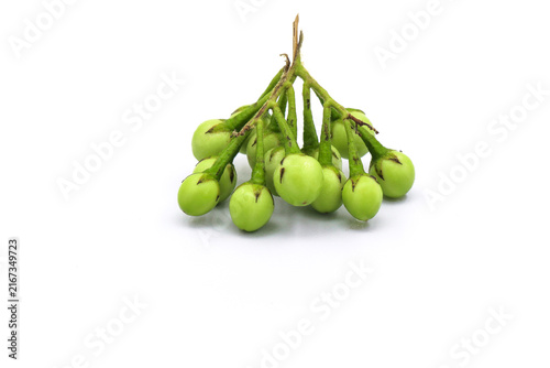 A fresh bunch of green Turkey berries on white background.