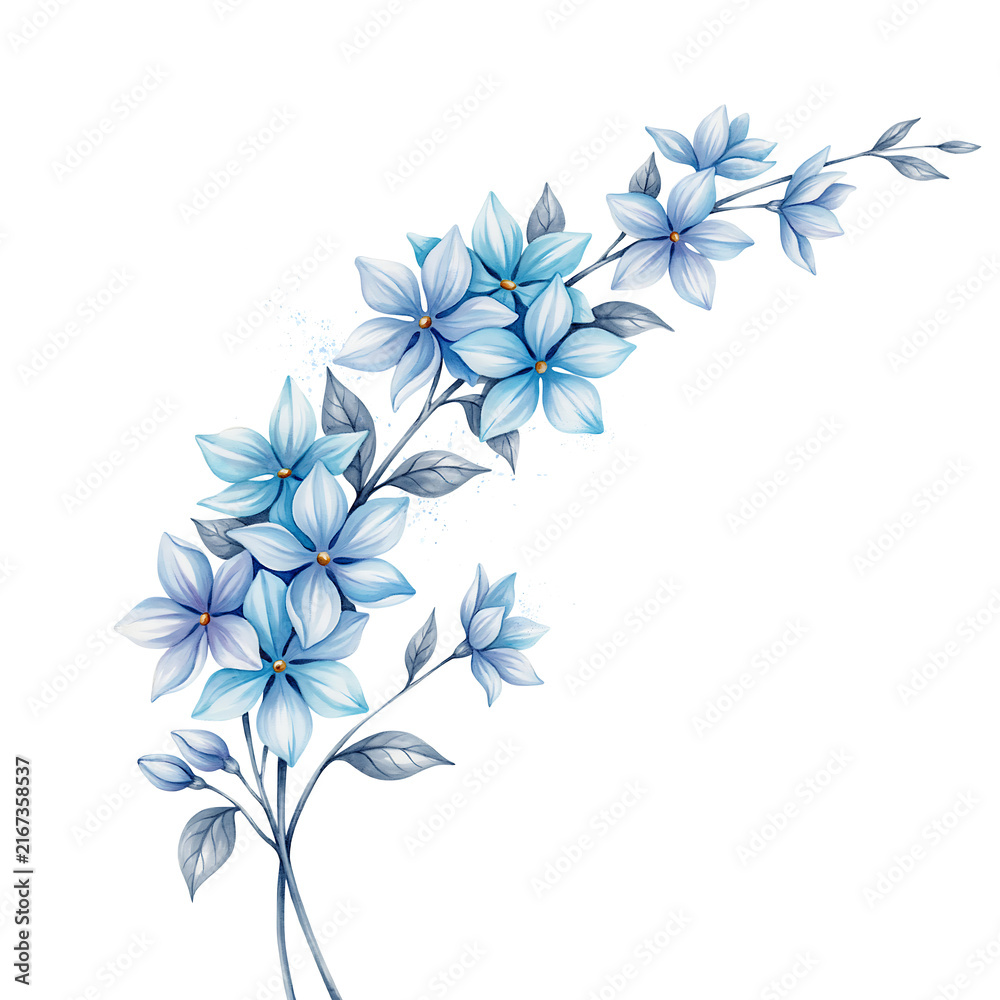 Fototapeta premium A delicate branch of blue flowers with grey leaves isolated on a transparent background