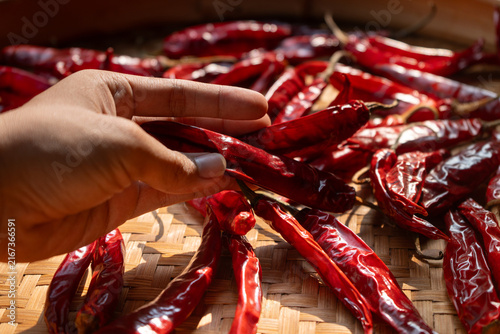Hand holding dried chili peppers on traditional indonesian woven bamboo basket (besek), prepared to make sambal (spicy sauce), chili oil, or other hot dishes