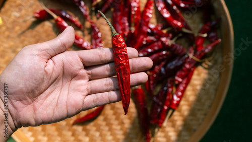 Hand holding dried chili peppers on traditional indonesian woven bamboo basket (besek), prepared to make sambal (spicy sauce), chili oil, or other hot dishes