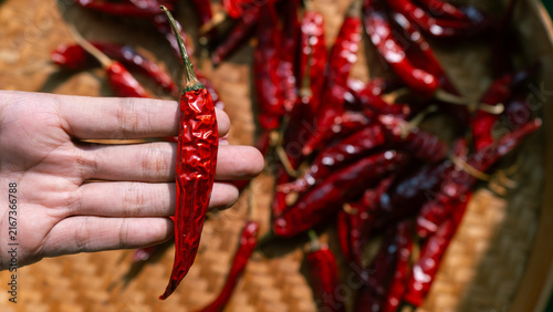 Hand holding dried chili peppers on traditional indonesian woven bamboo basket (besek), prepared to make sambal (spicy sauce), chili oil, or other hot dishes