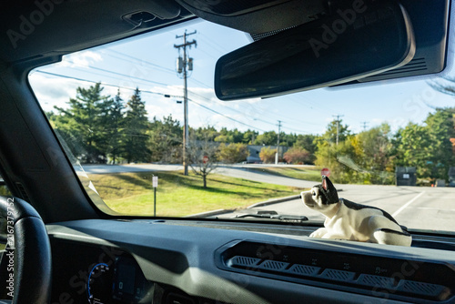 Driving on Maine road in autumn time, Maine America