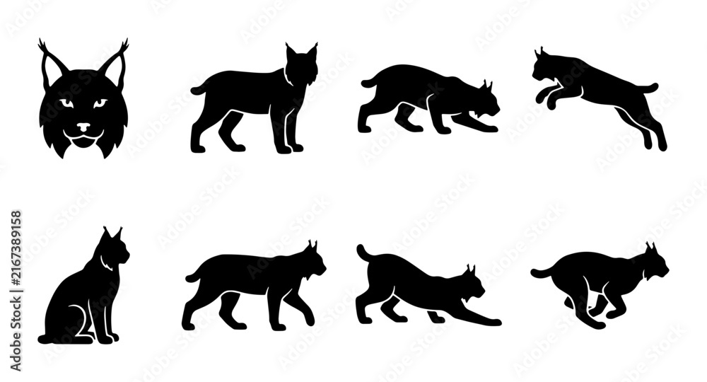 Fototapeta premium Lynx Silhouette Collection: Wild Cat Poses, Vector Icons for Nature and Wildlife Design