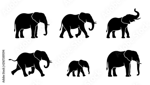Photography African Elephant Silhouettes, Wildlife Vector Icons, Safari Animals Collection,