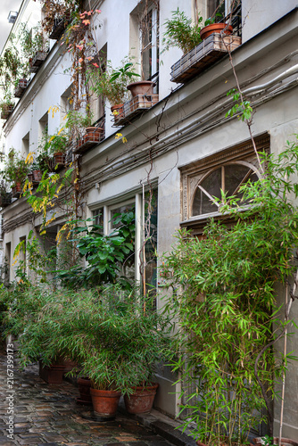 Potted plants and window boxes in a Parisian cobblestone passageway