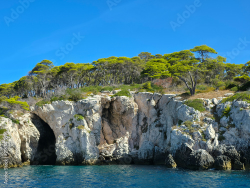 White Rocky Cliffs and Sea Caves with Aleppo Pine Forest in San Domino Island, Tremiti Archipelago, Apulia, Italy – Scenic Coastline and Turquoise Adriatic Sea Under Blue Sky