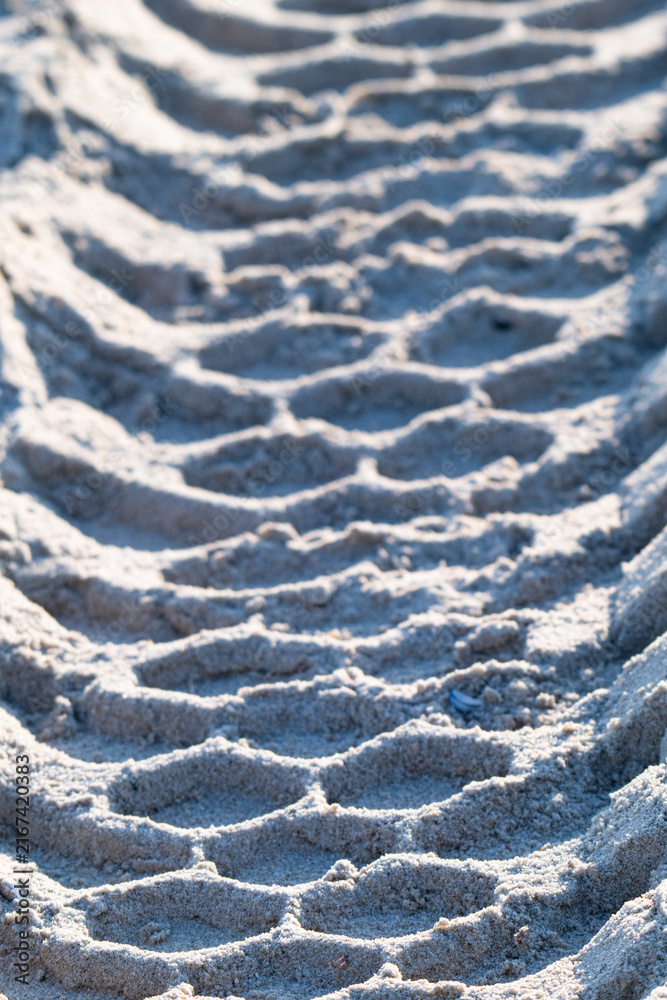 Fototapeta premium A close-up photo of a car track