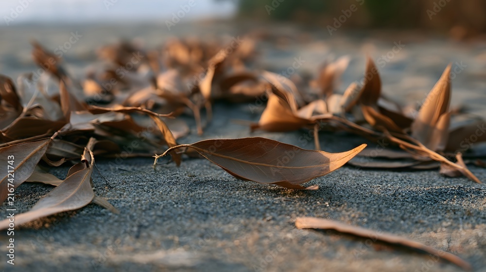 Fototapeta premium Dry leaves rest on textured ground under warm soft light capturing natural decay and earthy tones in a quiet outdoor scene