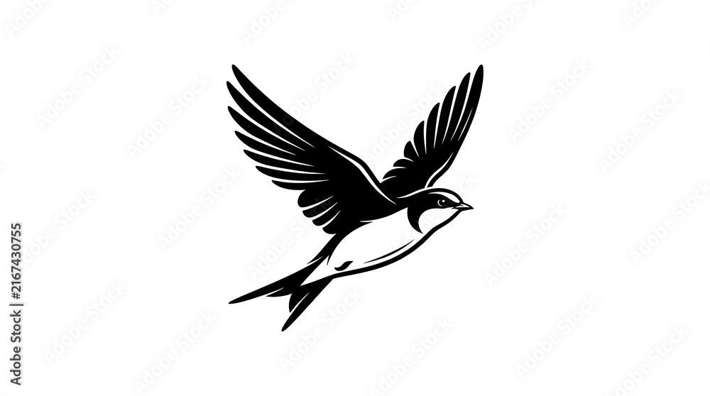 Obraz premium Black and white bird flying with wings spread