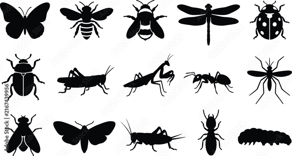 Fototapeta premium Diverse collection of black insect silhouettes including butterflies, bees, beetles, and ants isolated on a white background, for nature