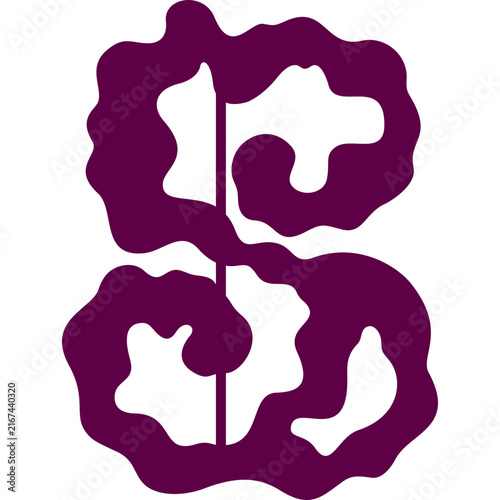 vector illustration of human anatomy