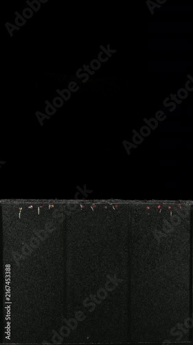 4K vertical time lapse showing radish seeds germinating and developing roots and green seedlings in a rhizobox. Underground root growth and above-ground plant development are clearly visible.