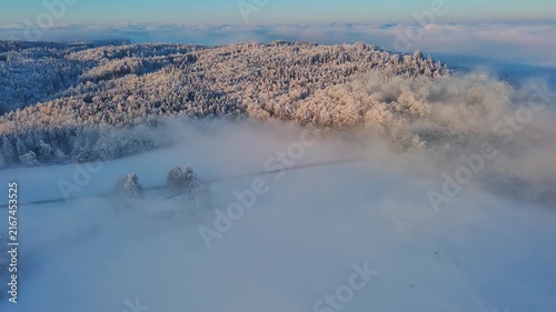 Aerial View of Snowy Forest and Fields as Morning Fog Lifts