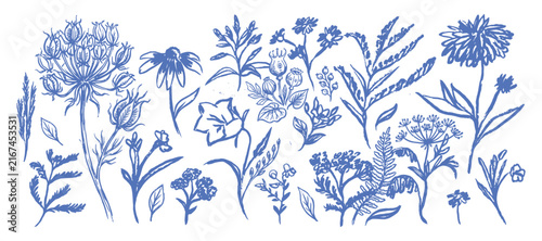 Grunge minimal charcoal chalk summer autumn flowers. Ink hand drawn wild garden herb set in wax crayon drawing style vector illustration. Floral silhouette elements for scrapbooking.